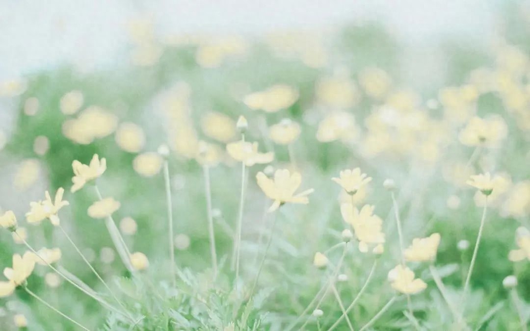 写给闺蜜的神仙文案，情深意浓，共度人生恩情(图5)