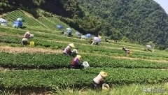 “民生在勤，勤则不馈”，劳动是幸福的源泉，祖国复兴的必由之路(图3)