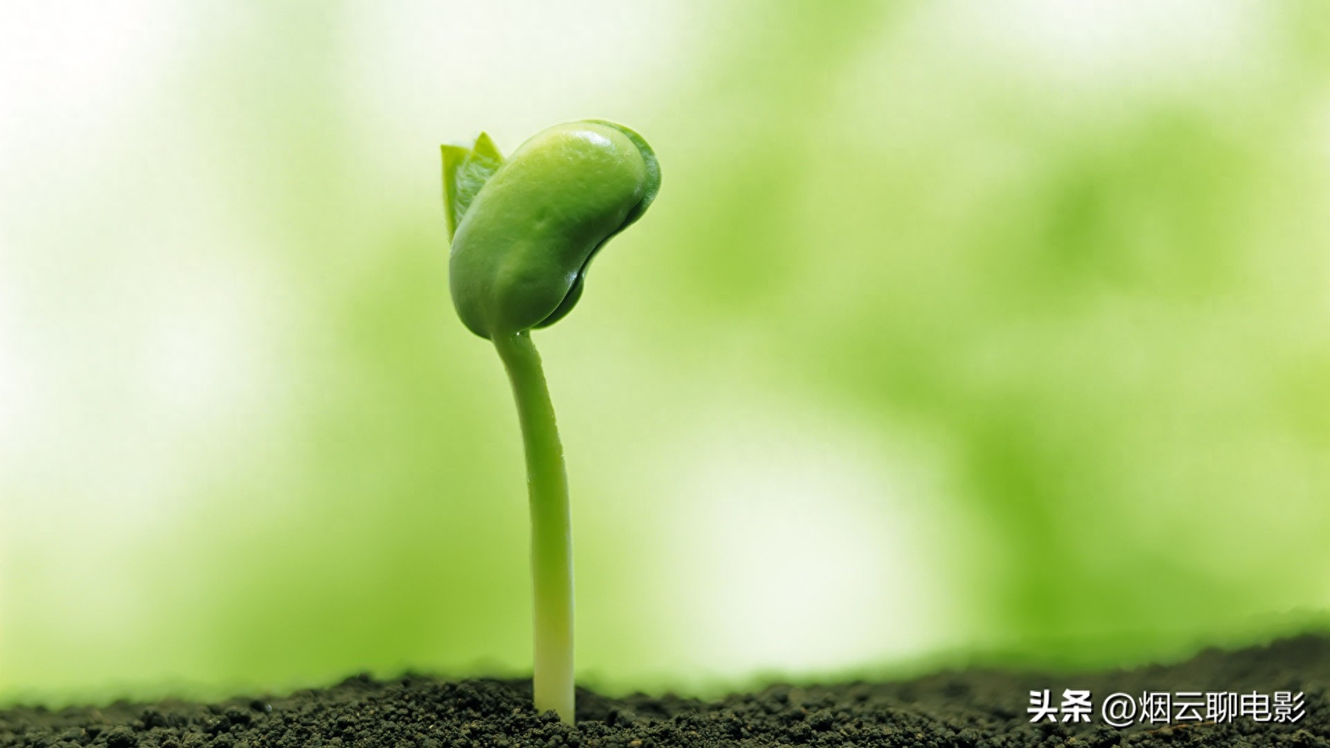 励志电影解说文案：你遇到过这样的教师吗？(图16)