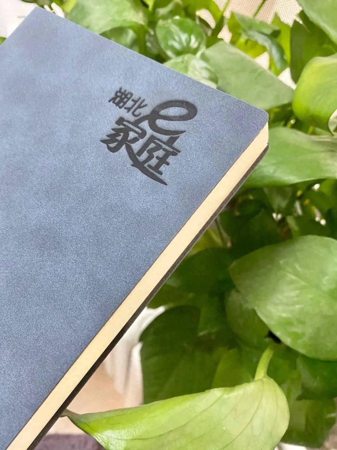 关于家庭教育的8句箴言，价值连城(图19)