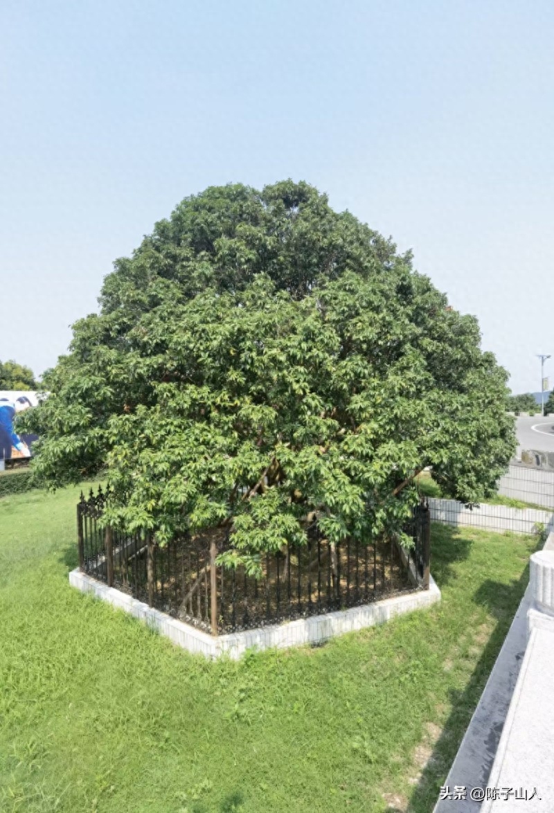 【经典名言荟萃】122 随缘自适，以清净心看世界，用欢喜心过生活(图1)