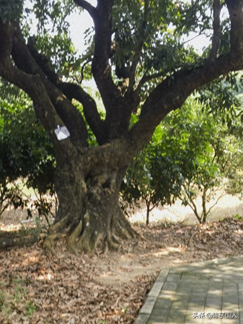 【经典名言荟萃】122 随缘自适，以清净心看世界，用欢喜心过生活(图2)