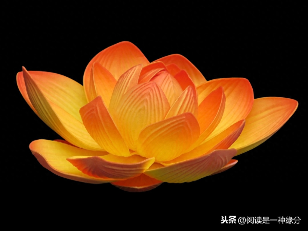 国学启蒙之《朱子治家格言》讲解(图3)