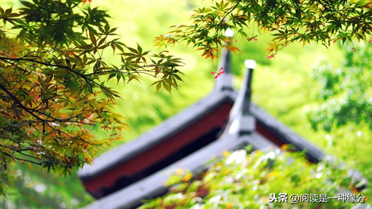 国学启蒙之《朱子治家格言》讲解(图6)