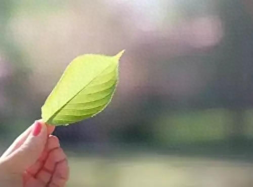 两年学说话，一生学闭嘴(图4)