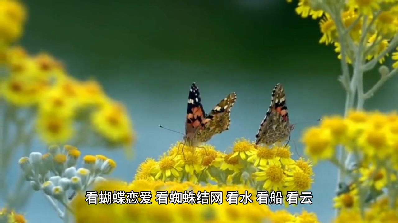 情感文案#我爱你用尽余生的勇气(图3)