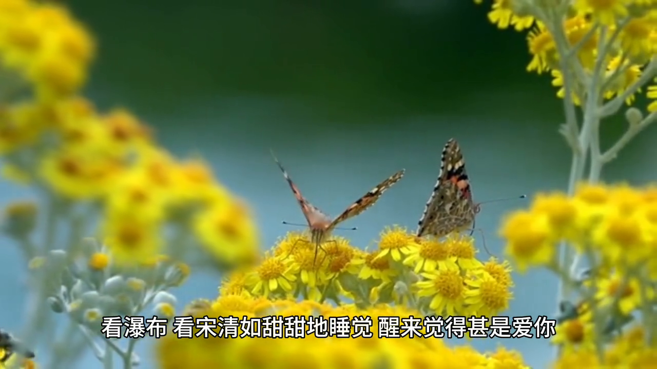 情感文案#我爱你用尽余生的勇气(图4)