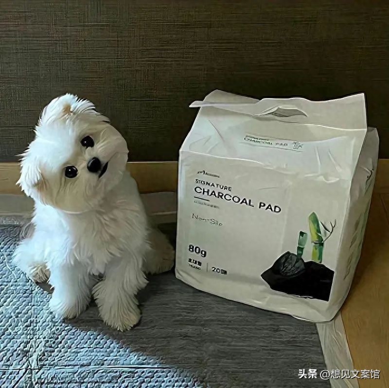 句句不提爱，字字都是爱的文案(图3)