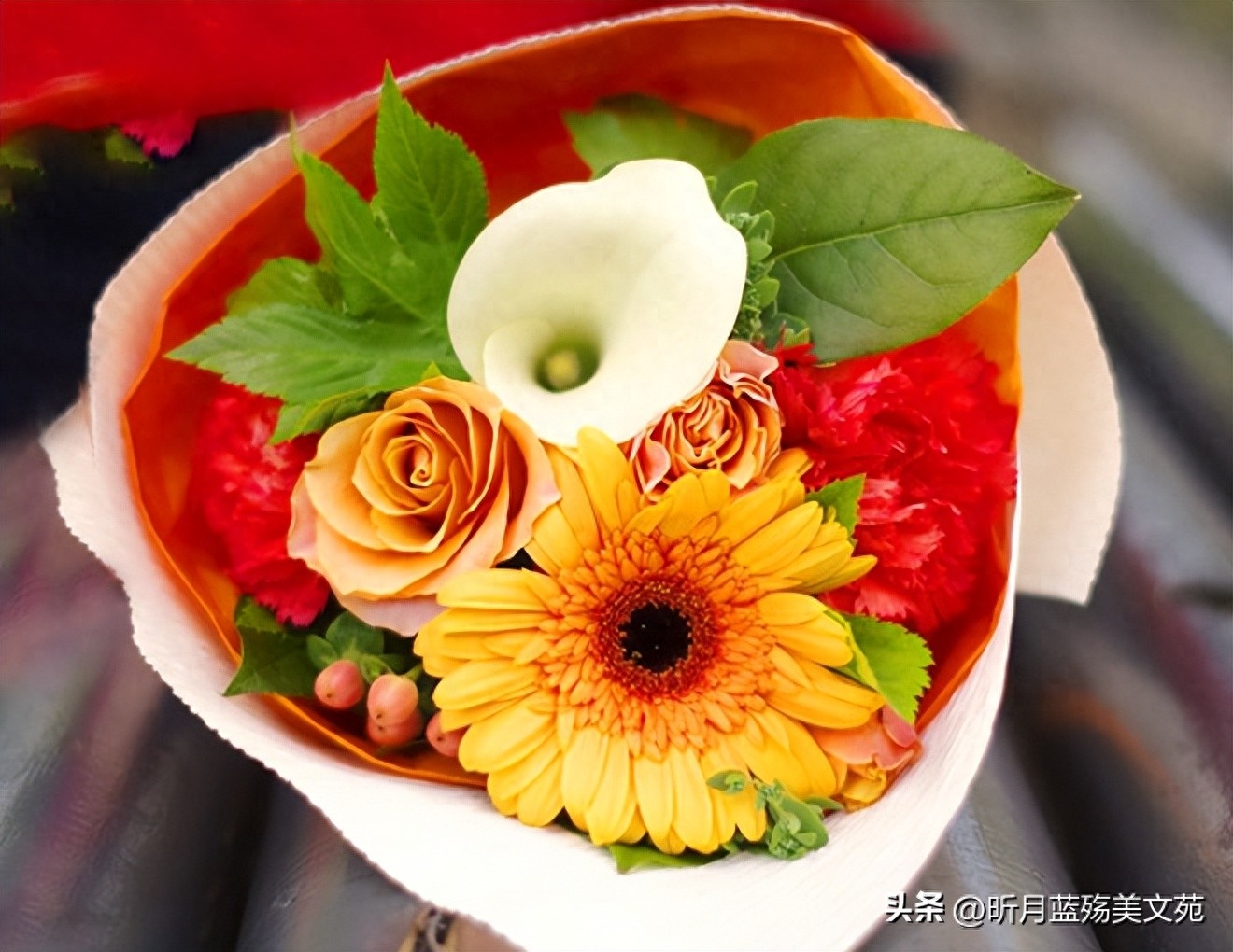 致深爱的人：爱你依然，牵挂永远(图2)