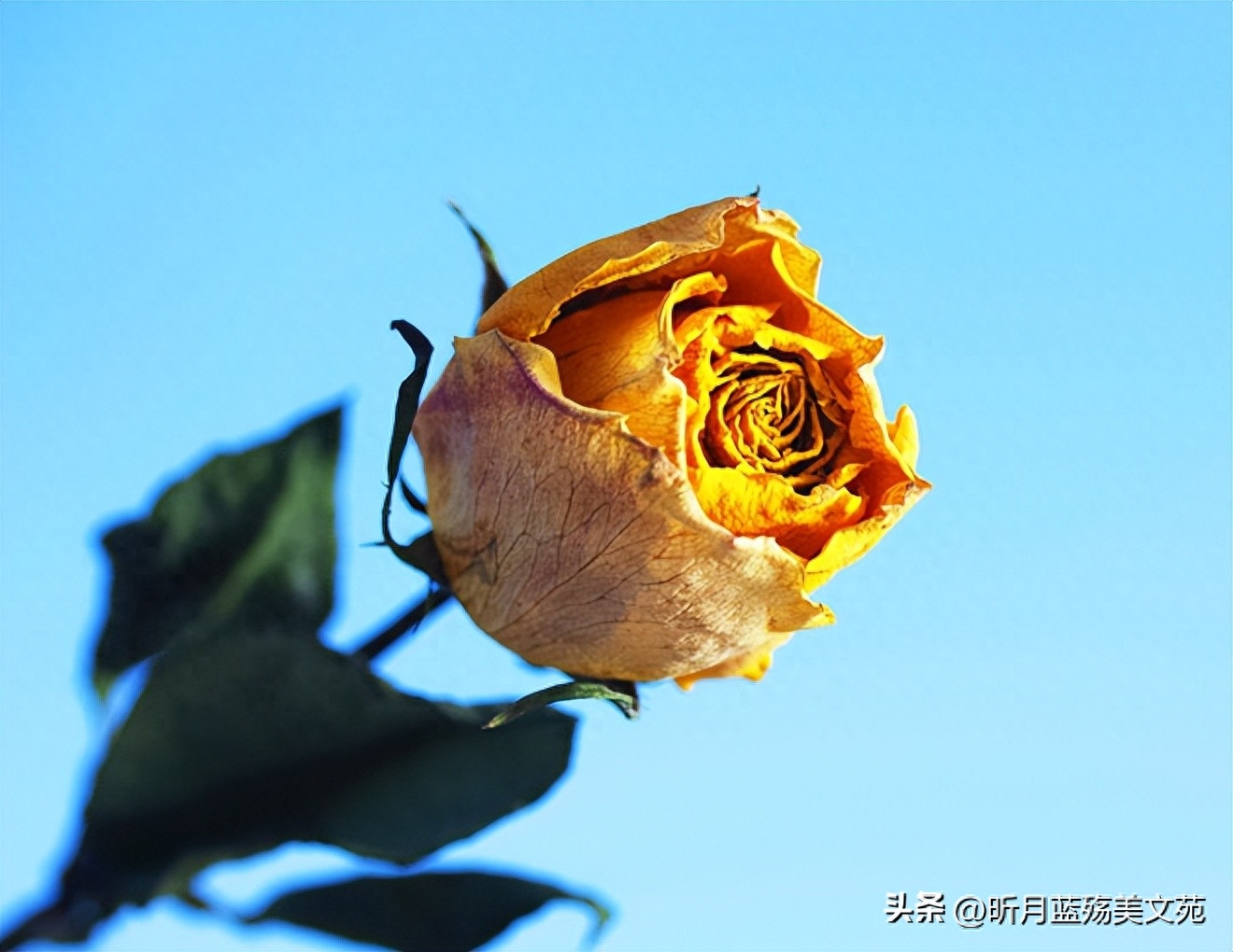 致深爱的人：爱你依然，牵挂永远(图3)