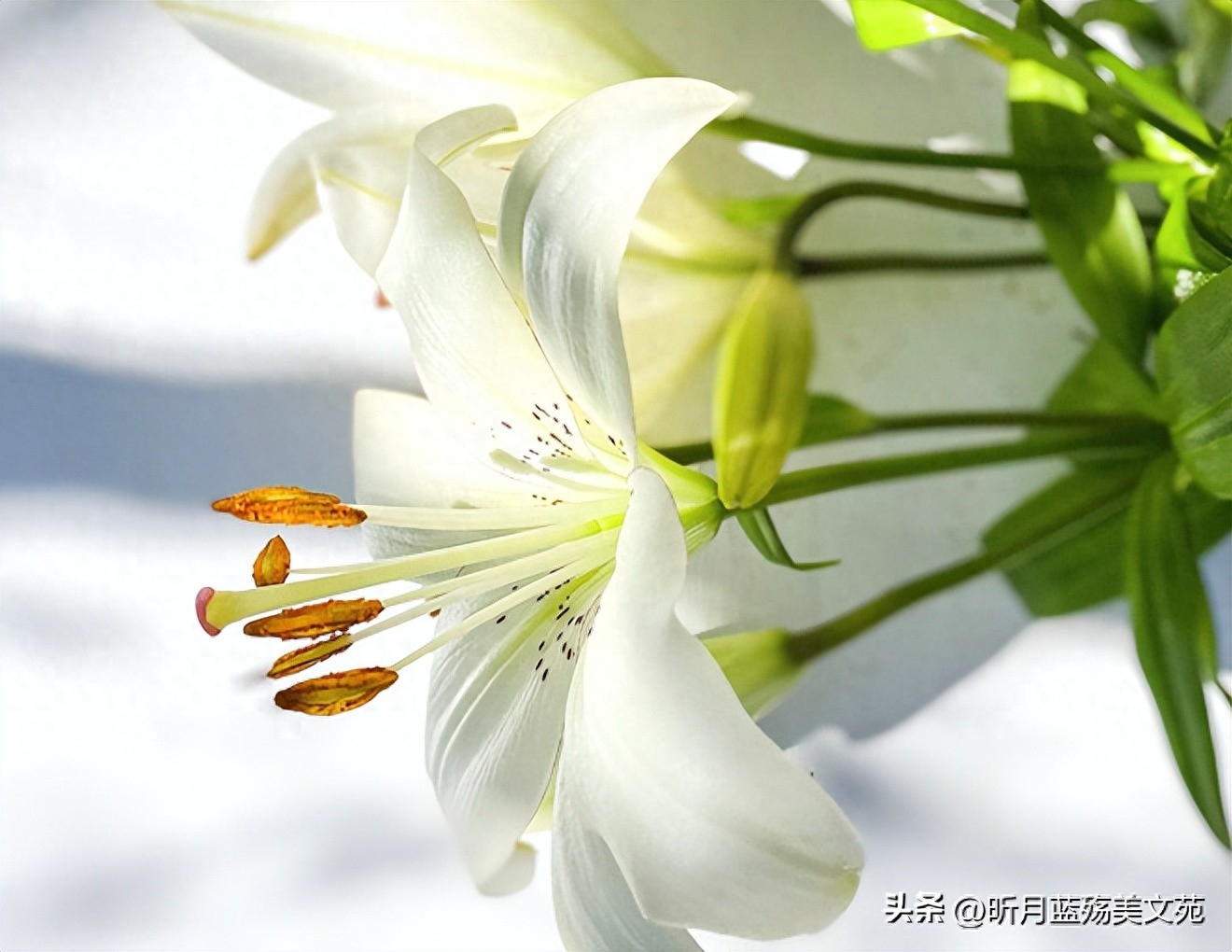 致深爱的人：爱你依然，牵挂永远(图5)