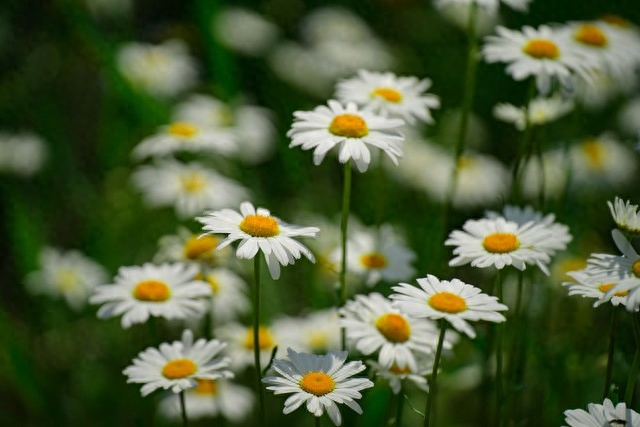 每天都在想你，每天都在等你(图4)