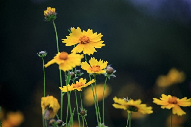 每天都在想你，每天都在等你(图5)