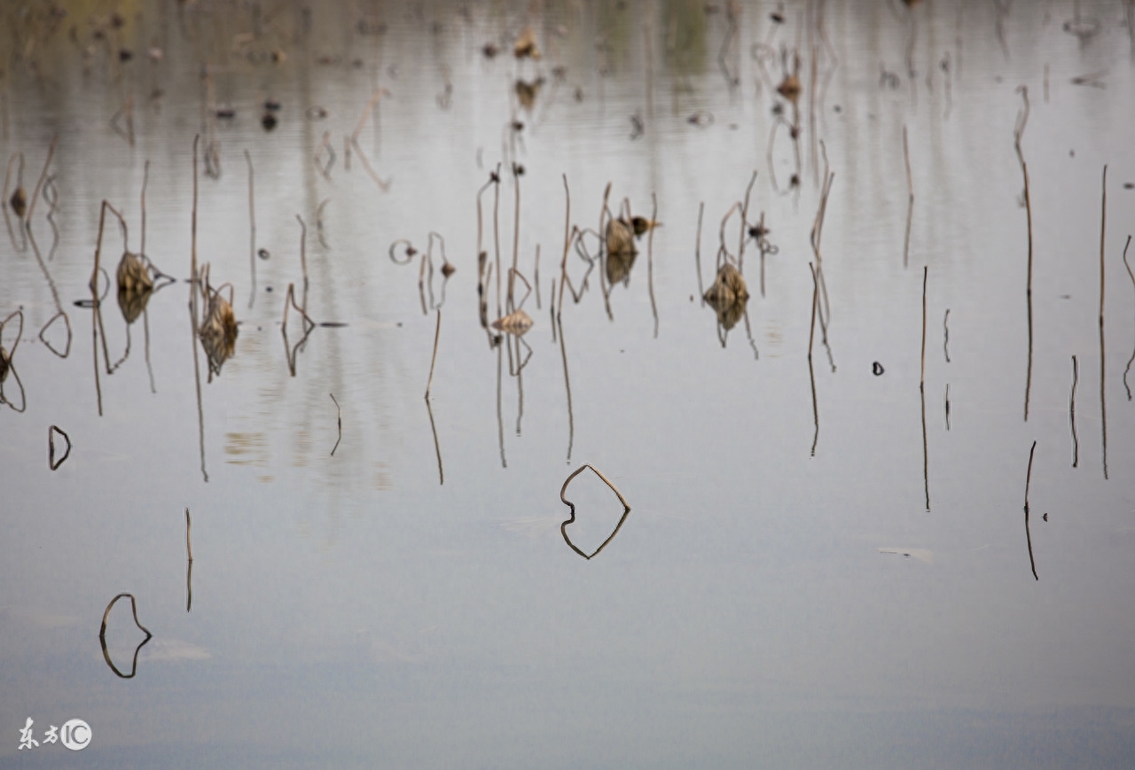 励志短语：现实无辜的装着纯情说着狠话，无情掠夺着残留着的温柔(图3)