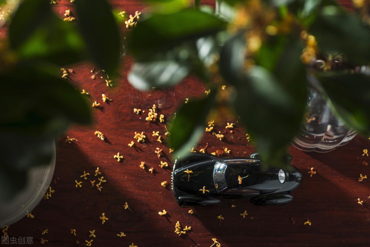 一枕初寒梦不成(图3)