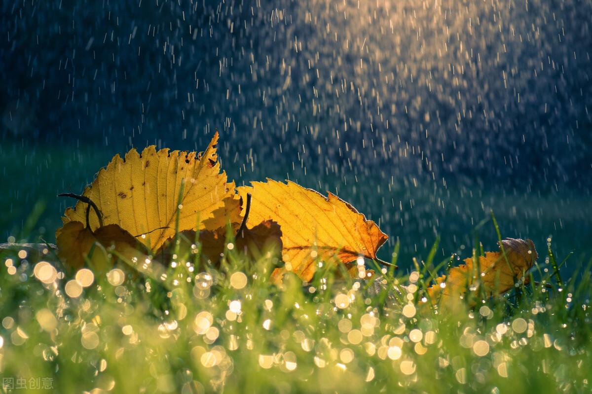 一枕初寒梦不成(图8)