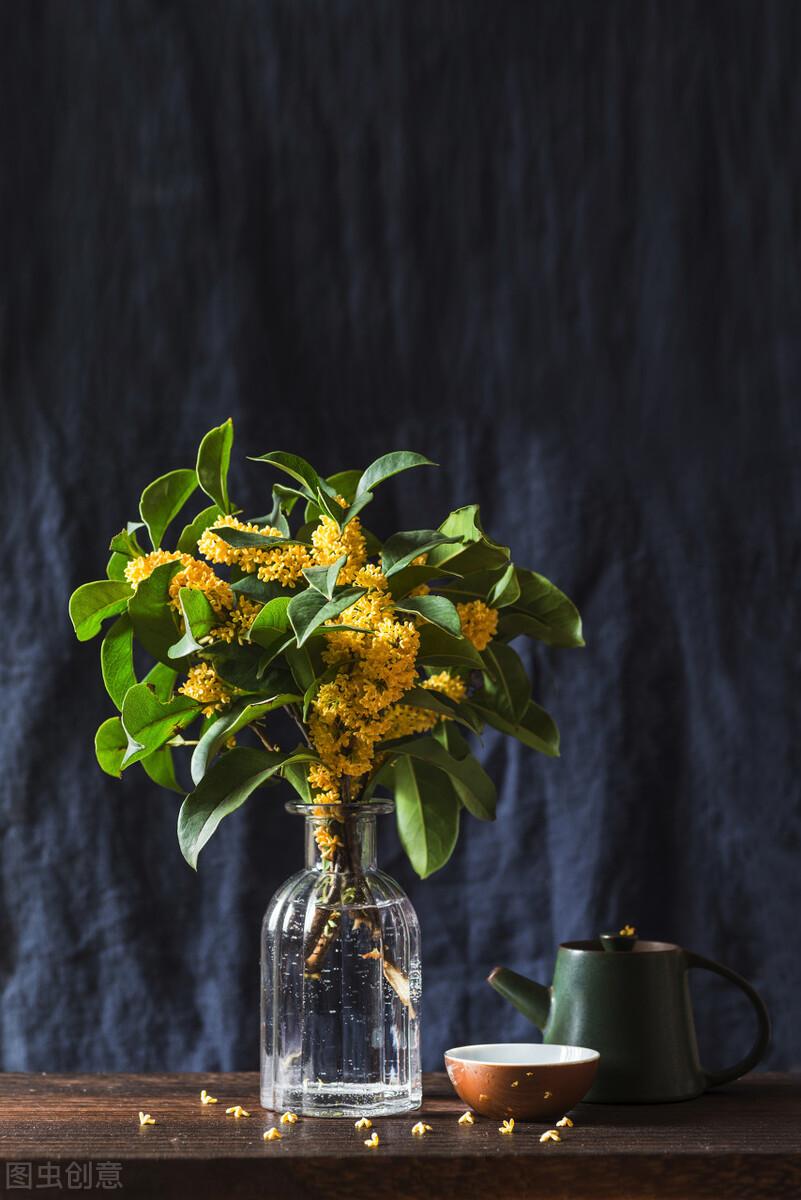 一枕初寒梦不成(图9)