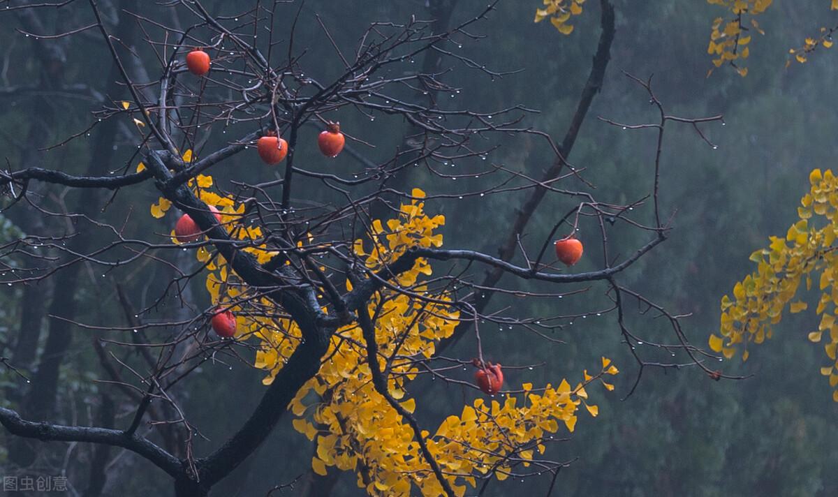 一枕初寒梦不成(图12)