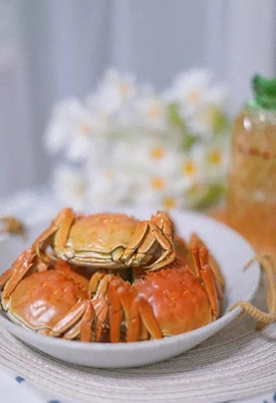 寒露：露寒将凝，逢重阳(图5)