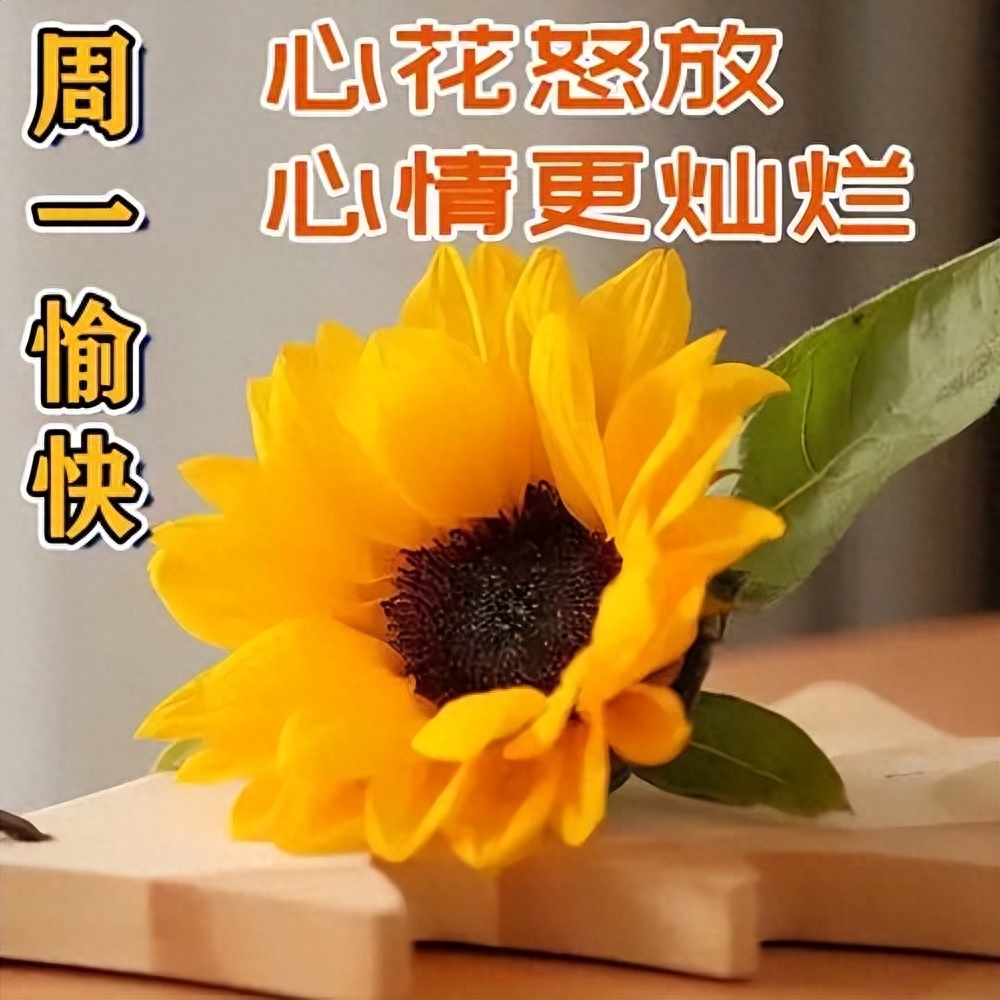 如意吉祥的早安祝福句子，保持好心态，健康又欢快(图2)