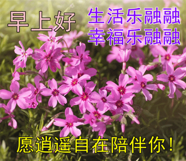 你可以一辈子不登山，但你心中一定要有座山(图4)