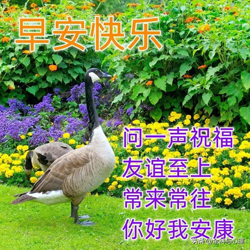 你可以一辈子不登山，但你心中一定要有座山(图5)