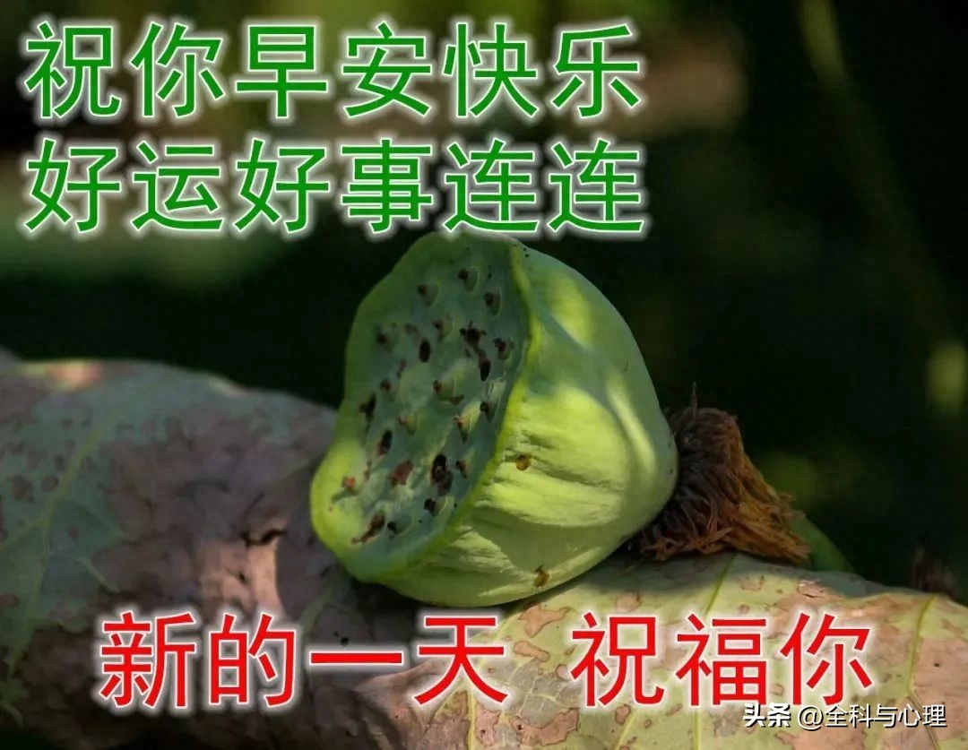 你可以一辈子不登山，但你心中一定要有座山(图6)