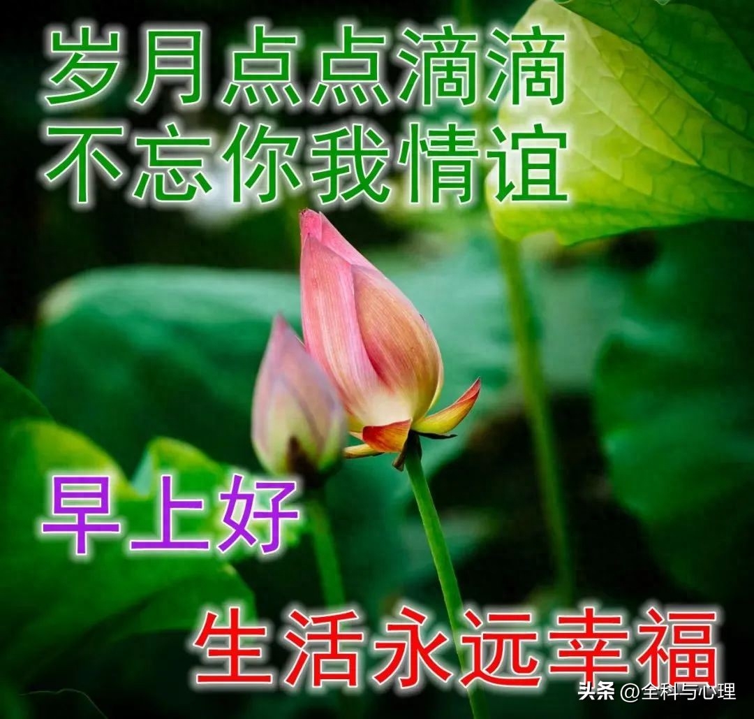 你可以一辈子不登山，但你心中一定要有座山(图8)