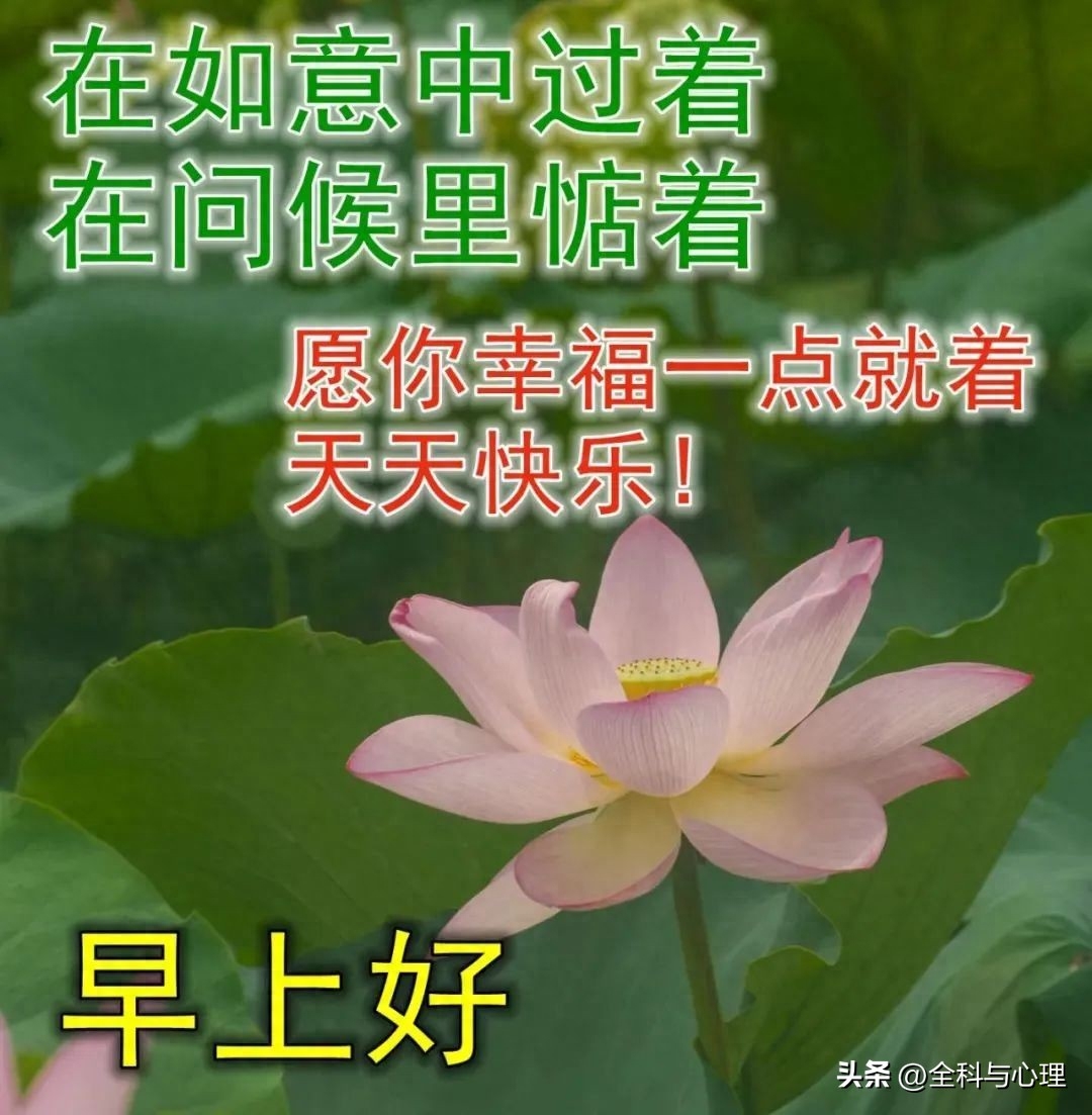 你可以一辈子不登山，但你心中一定要有座山(图11)