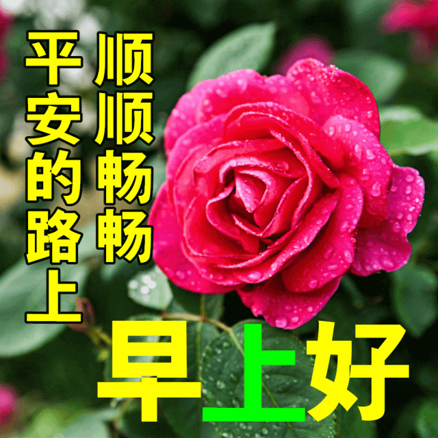 早安问候祝福语精选，事事如意，暖心温馨(图2)