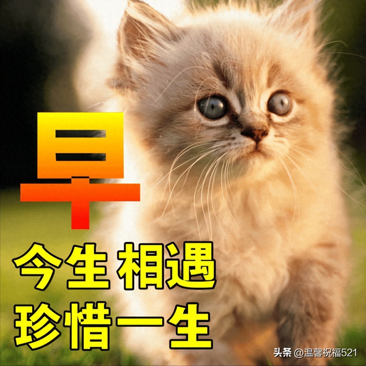 早安问候祝福语精选，事事如意，暖心温馨(图3)