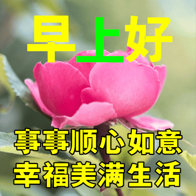 早安问候祝福语精选，事事如意，暖心温馨(图6)
