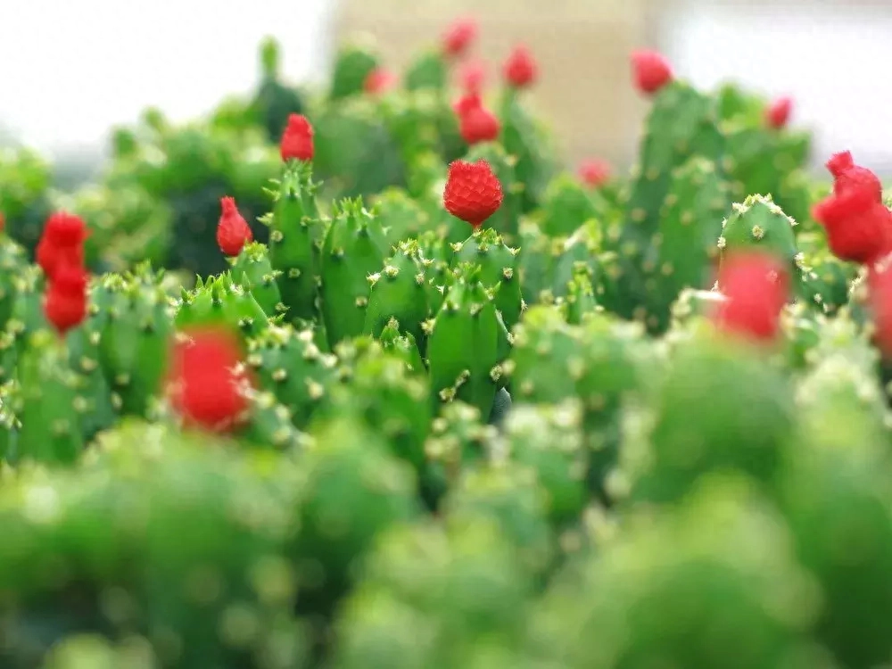 2019很现实的人生感悟说说短句，句句精辟有哲理(图3)