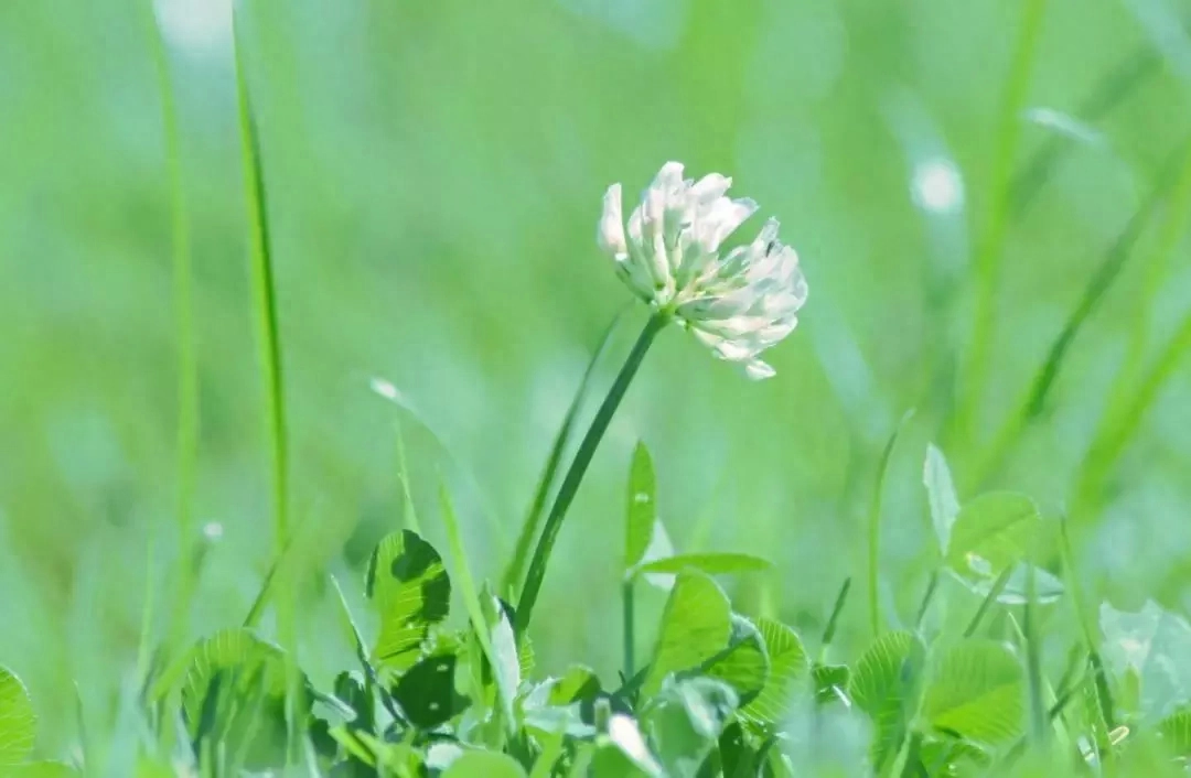 2019很现实的人生感悟说说短句，句句精辟有哲理(图4)