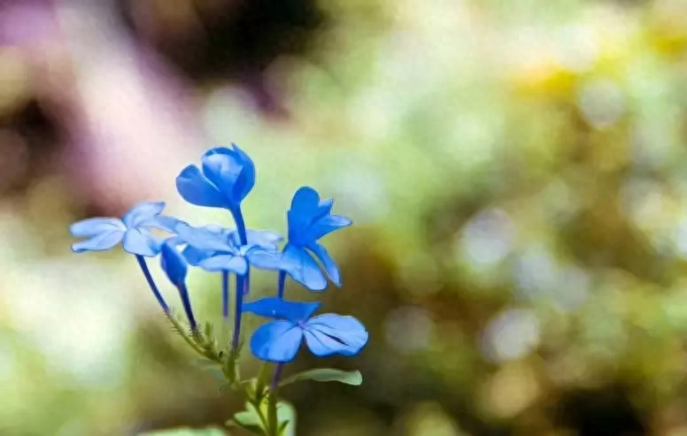 2019很现实的人生感悟说说短句，句句精辟有哲理(图5)