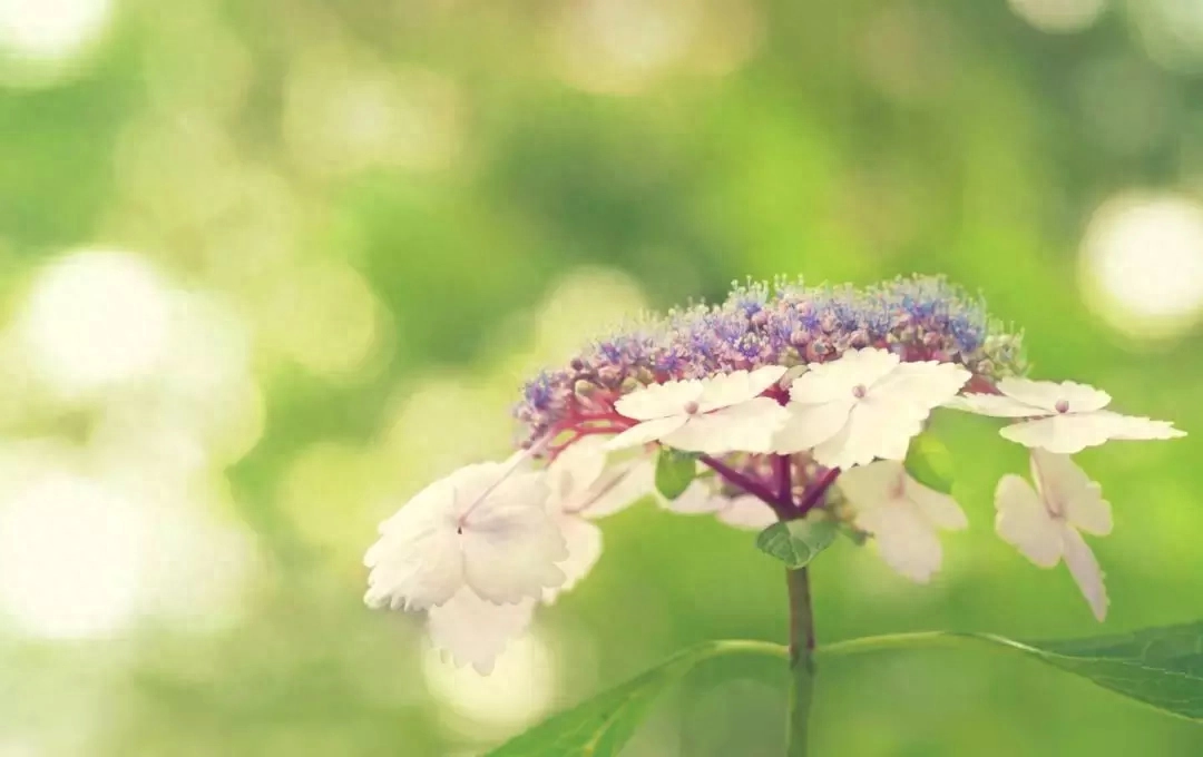 2019很现实的人生感悟说说短句，句句精辟有哲理(图6)