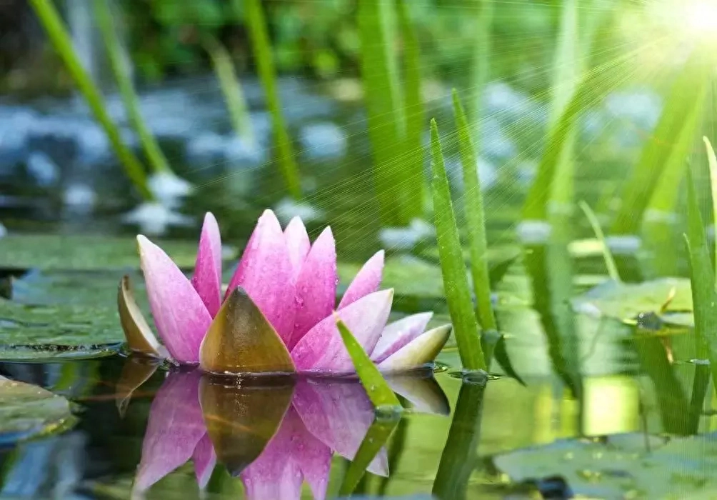 2019很现实的人生感悟说说短句，句句精辟有哲理(图7)