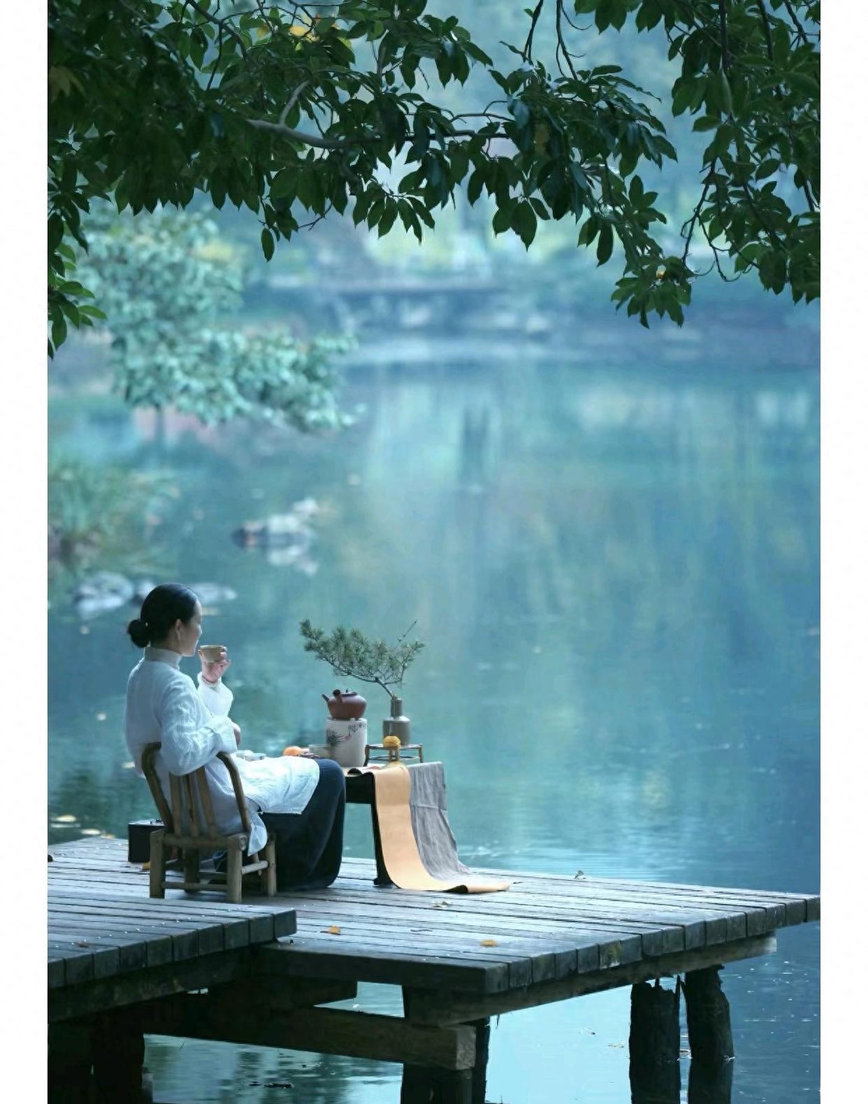 人在草木间，浮生半日闲(图3)