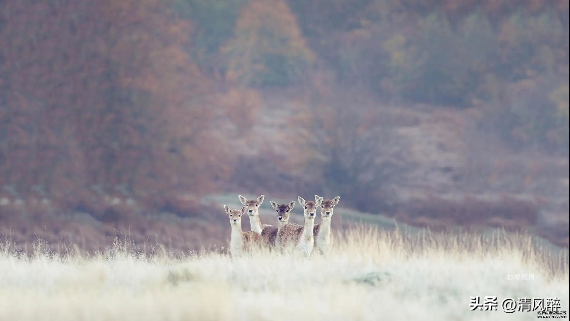 吵架后的心情说说(图1)