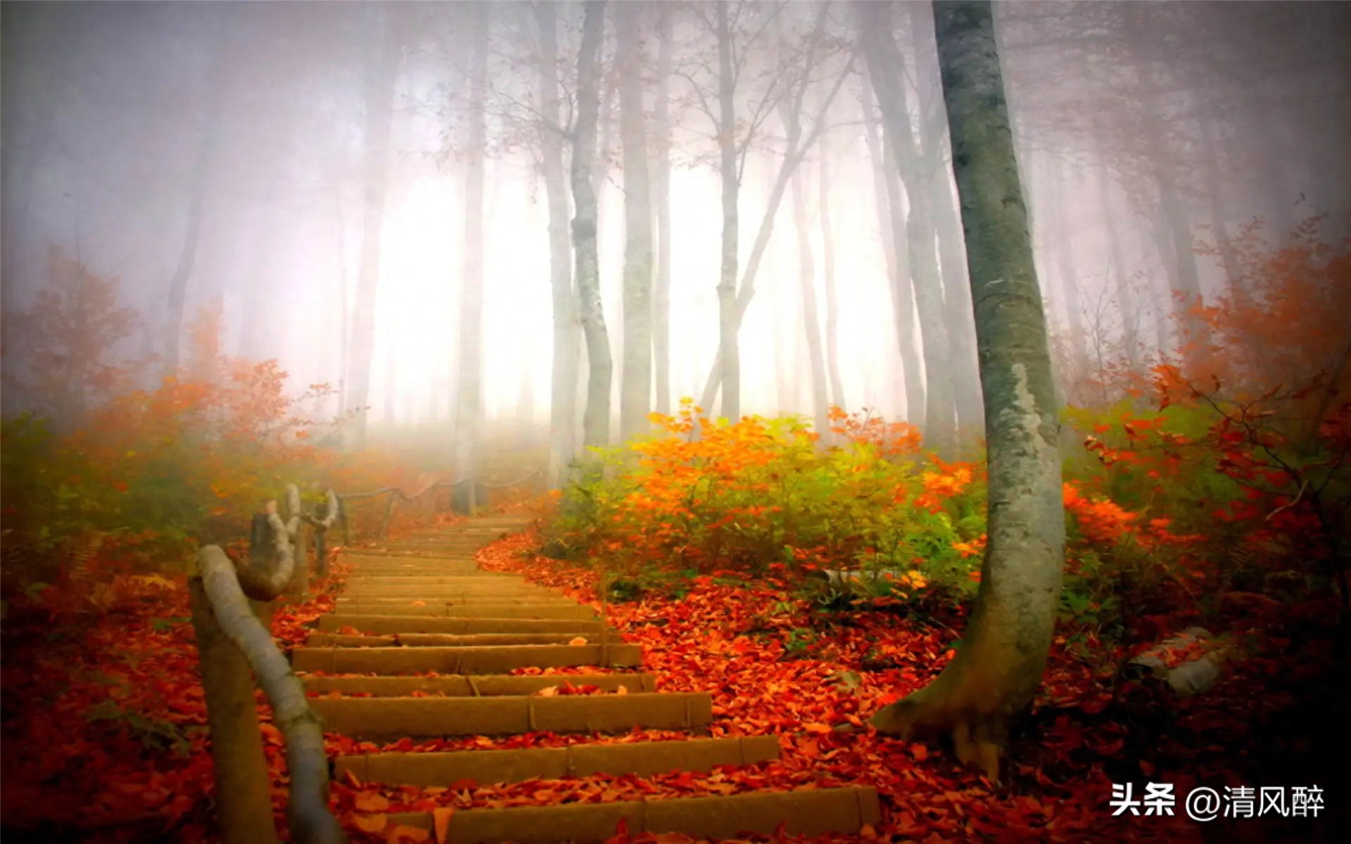 吵架后的心情说说(图2)