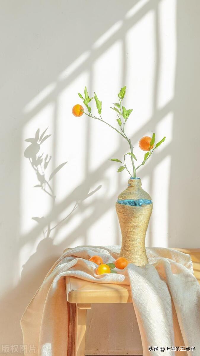 面对人生风雨，要冷静思考，勇往直前，不被困难吓倒，坚持前行。(图4)