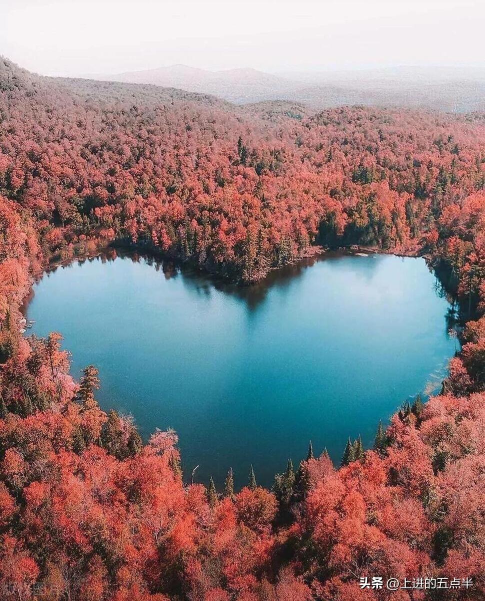 面对人生风雨，要冷静思考，勇往直前，不被困难吓倒，坚持前行。(图5)