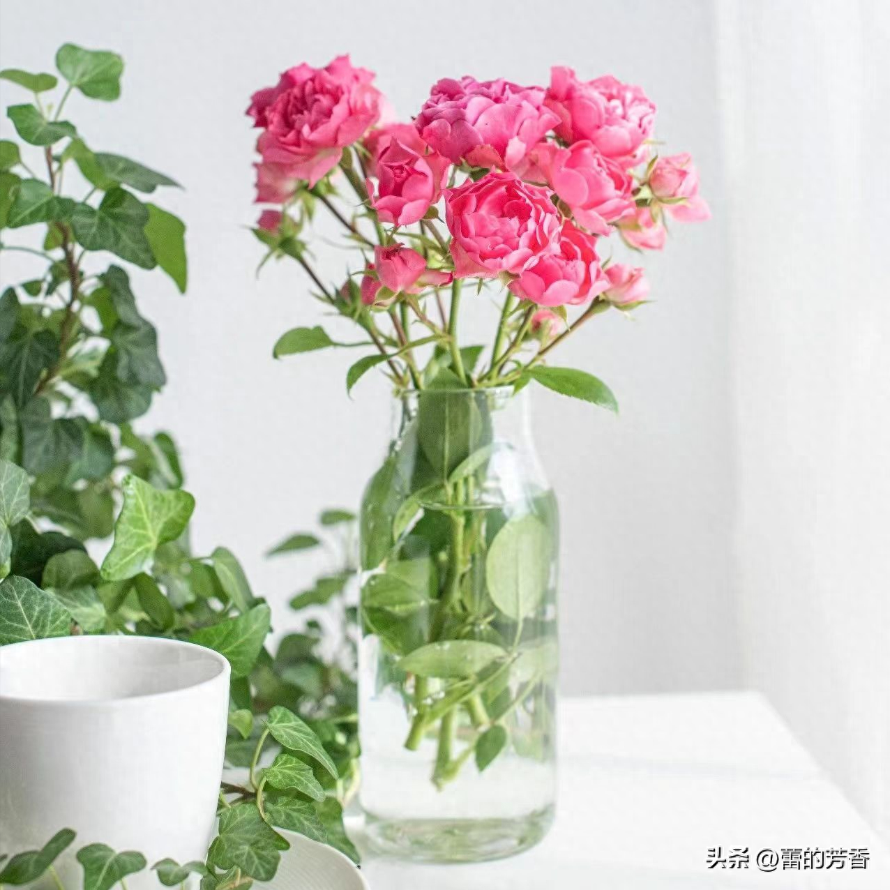 人间草木，一笔流年，一行光阴，愿时光保佑你岁月无忧(图1)