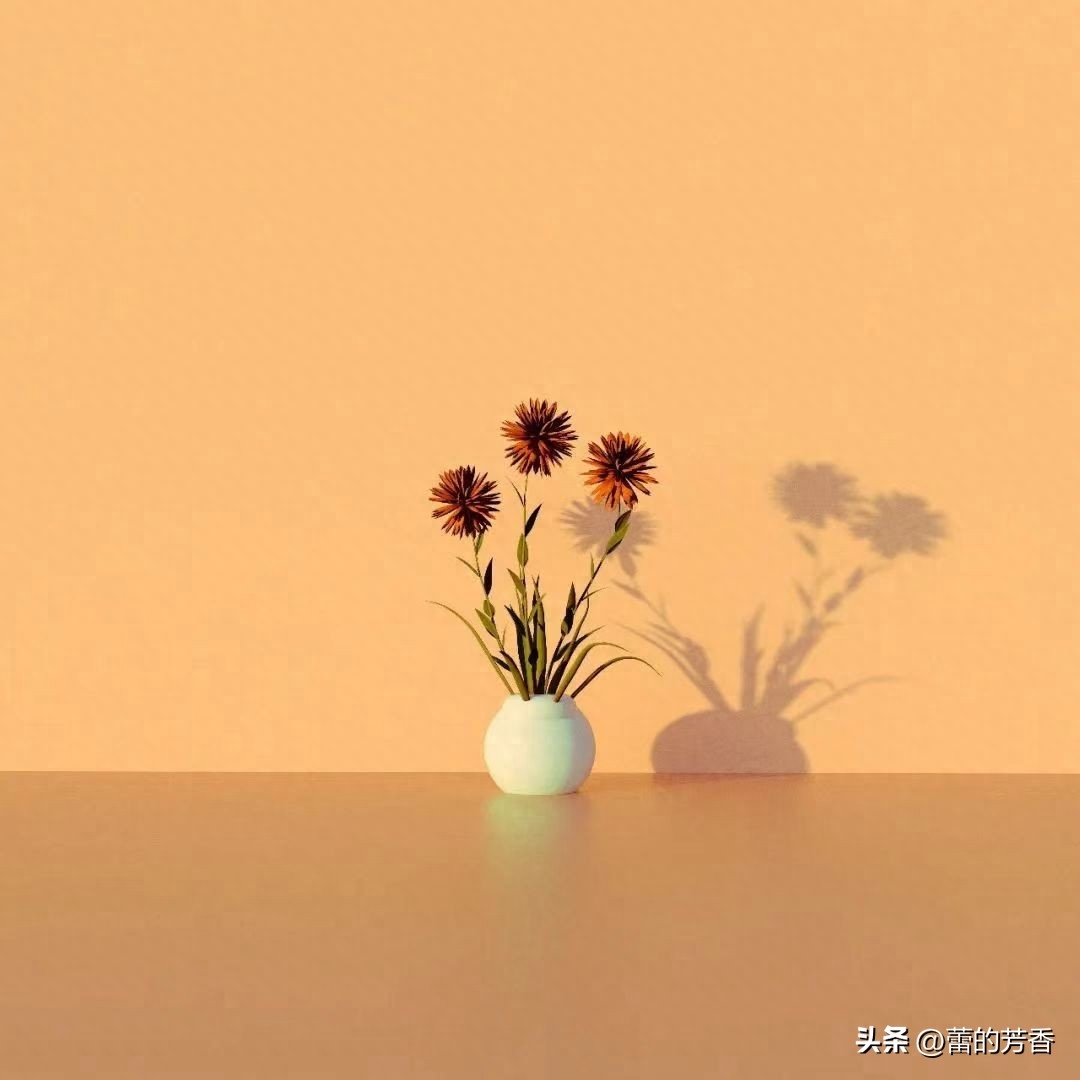 人间草木，一笔流年，一行光阴，愿时光保佑你岁月无忧(图2)