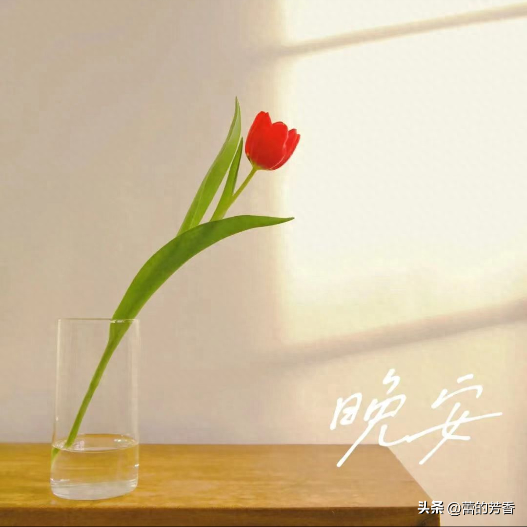 人间草木，一笔流年，一行光阴，愿时光保佑你岁月无忧(图3)