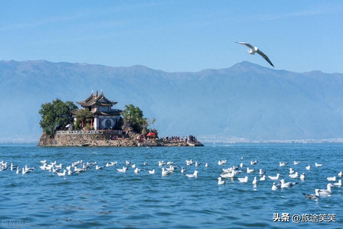 值得摘抄的句子 | “这辈子听过三观最正的话”(图3)