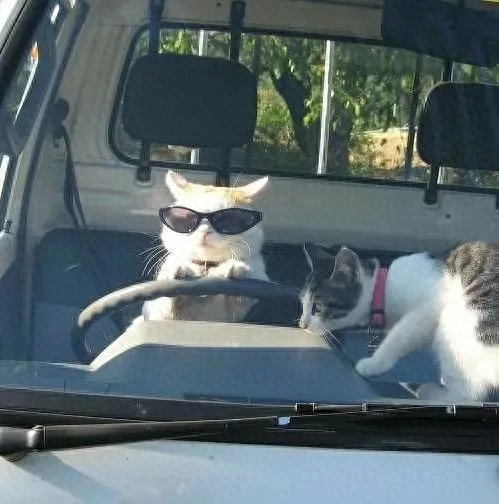 与挚爱同行，心旅逐梦(图1)