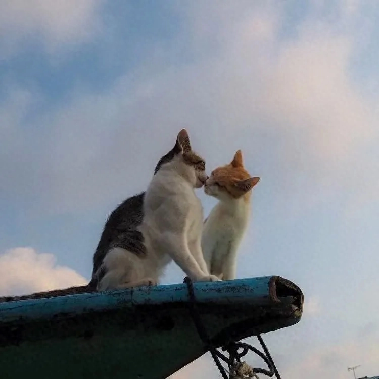 与挚爱同行，心旅逐梦(图2)