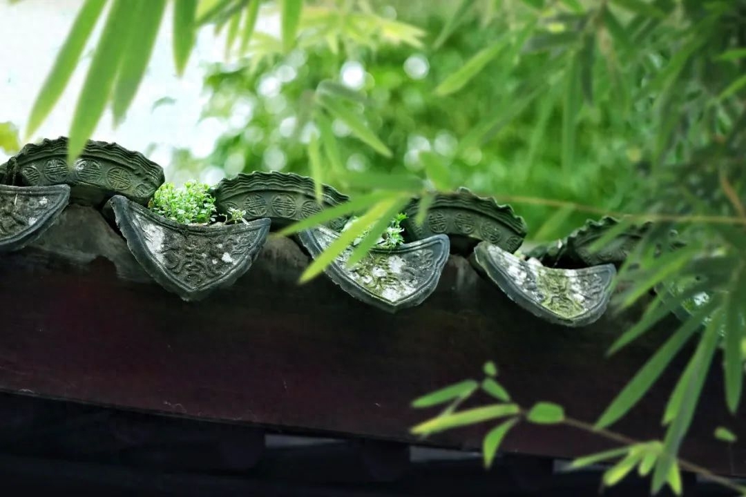 《淮南子》精华30句，道家智慧，人间至理！(图4)