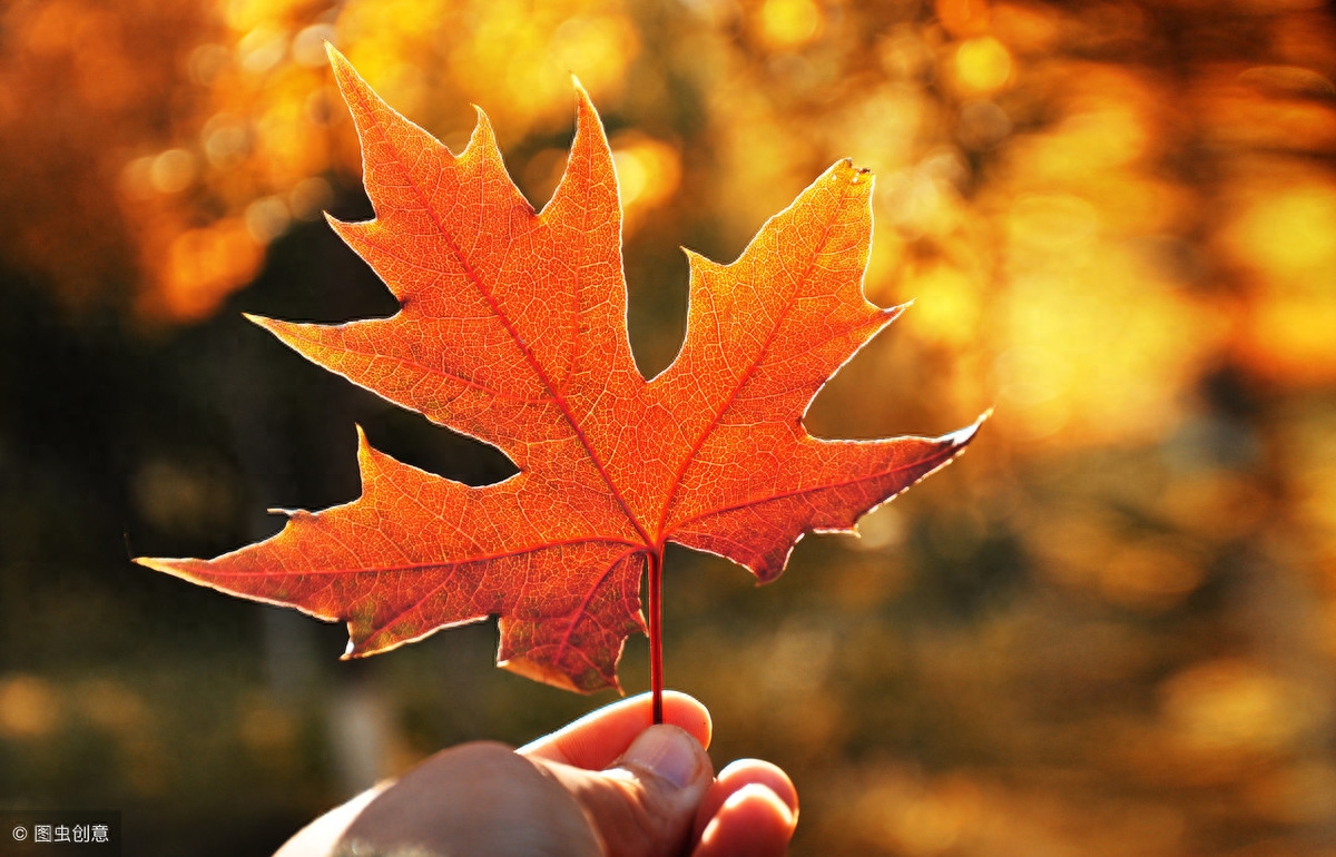 佛语静心经典语录，句句言之有理，心烦心累时多看看！(图4)